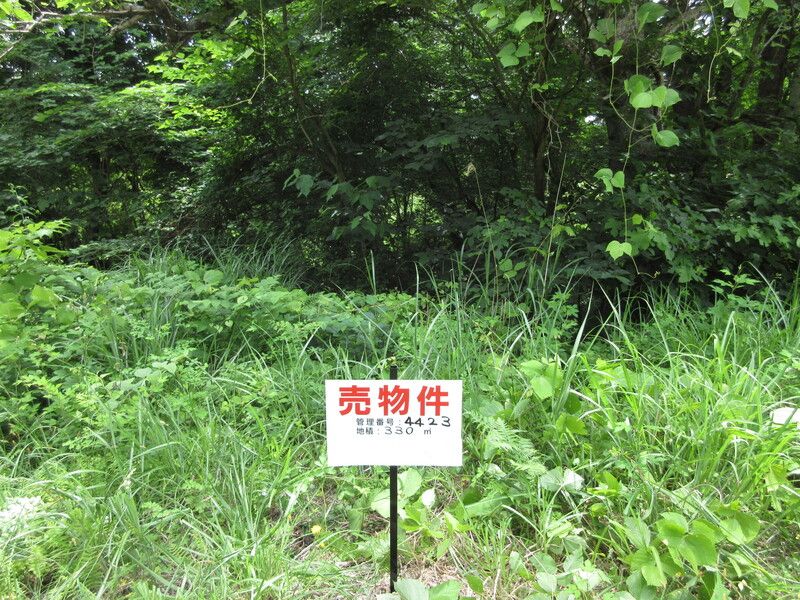 Land for Sale in Inawashiro Town, Fukushima - 330 sqm - Thumbnail 3
