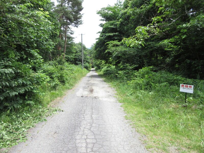 Land for Sale in Inawashiro Town, Fukushima - 330 sqm - Thumbnail 2