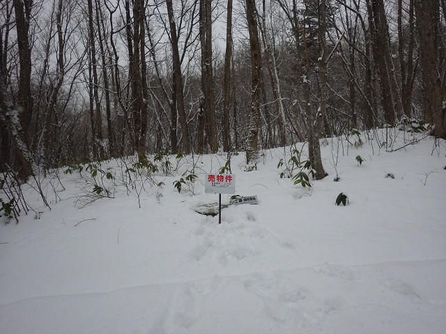 Land for Sale in Hachimantai Iwate 490 sqm - Thumbnail 4