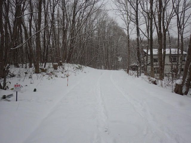 Land for Sale in Hachimantai Iwate 490 sqm - Thumbnail 2
