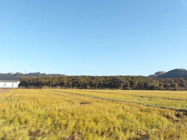 Vacant Land for Sale in Hokota City, Ibaraki - Thumbnail 3