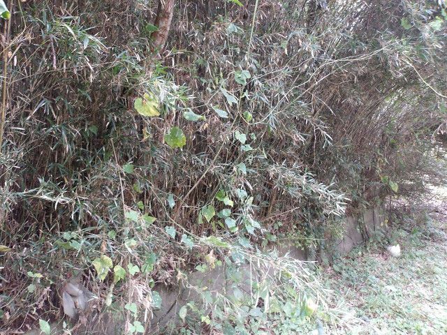 Vacant Land for Sale in Hokota City, Ibaraki - Thumbnail 2