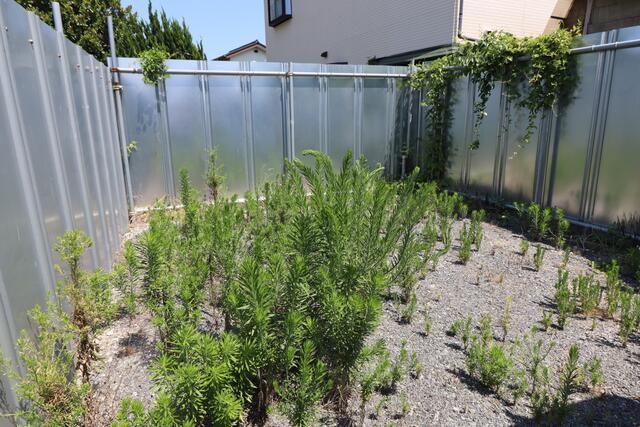 Commercial Land for Rent in Chigasaki, Kanagawa - 50.10 sqm - Thumbnail 2