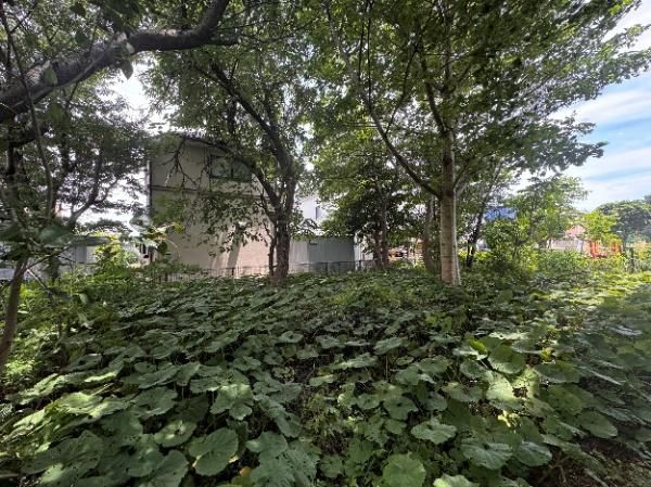 Land for Sale in Kokubunji, Tokyo – 175.59 sqm - Thumbnail 3