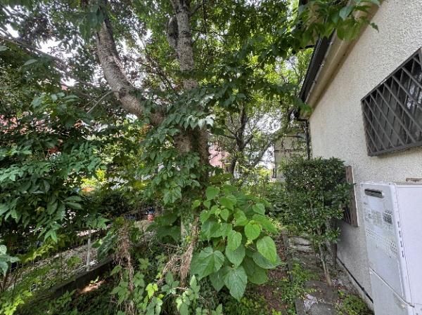 Land for Sale in Kokubunji, Tokyo – 175.59 sqm - Thumbnail 4