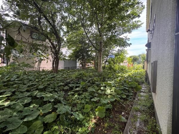 Land for Sale in Kokubunji, Tokyo – 175.59 sqm - Thumbnail 2