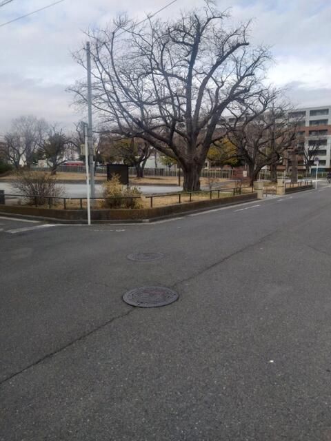 Land for Sale in Tsurumi, Yokohama - 87.66 sqm - Thumbnail 4