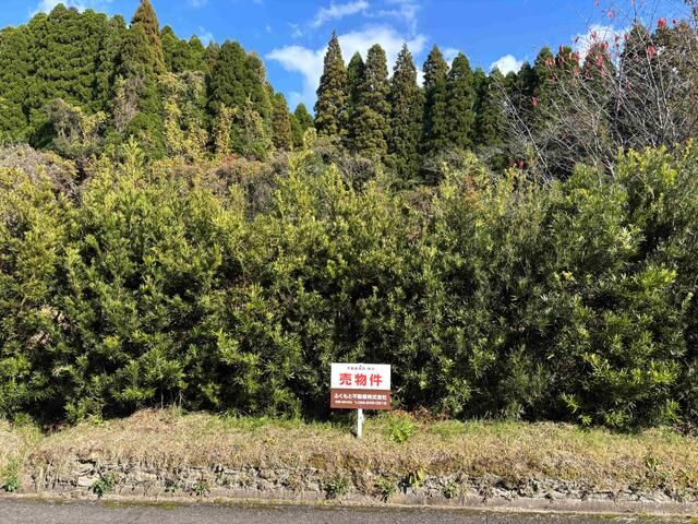 1000 Tsubo Flat Land for Sale in Satsumasendai, Kagoshima - Thumbnail 2