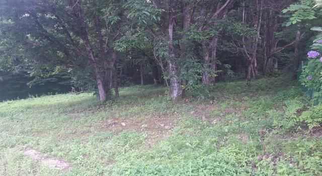 365 sqm Land for Sale in Sendai's Izumi Ward, Miyagi - Thumbnail 2