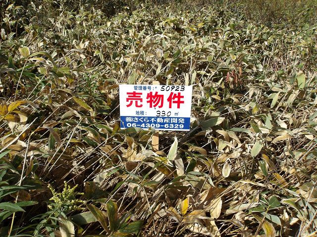 330 sqm Land Plot for Sale in Kitahiroshima, Hokkaido - Thumbnail 2