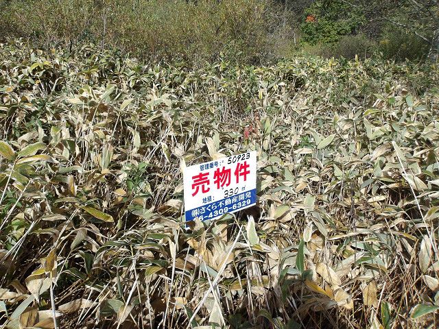 330 sqm Land Plot for Sale in Kitahiroshima, Hokkaido - Thumbnail 3