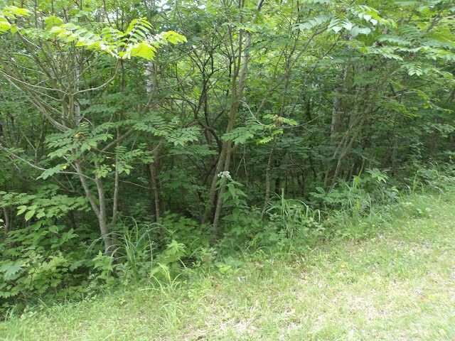 1,921 sqm Land for Sale in Higashi-Onuma, Hokkaido - Thumbnail 4
