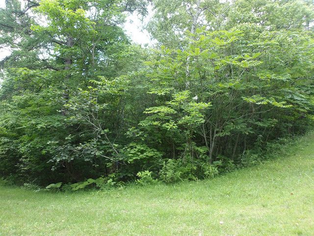 1,921 sqm Land for Sale in Higashi-Onuma, Hokkaido - Thumbnail 2