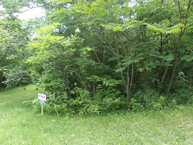 1,921 sqm Land for Sale in Higashi-Onuma, Hokkaido - Thumbnail 3