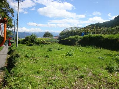 Land in a grape village overlooking Mt. Fuji: Villas, real estate, properties for sale Hometown Information Center: Nationwide rural living property data — Land, Yamanashi, Yamanashi