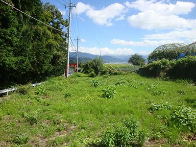Land in a grape village overlooking Mt. Fuji: Villas, real estate, properties for sale Hometown Information Center: Nationwide rural living property data — Land, Yamanashi, Yamanashi