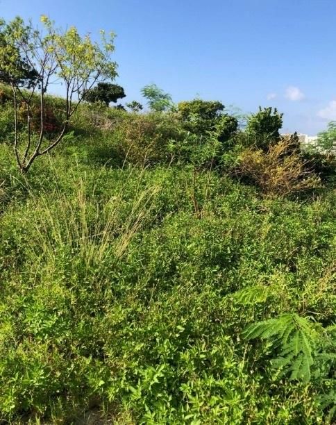 2,011 sqm Residential Development Land for Sale in Naha, Okinawa - Thumbnail 2