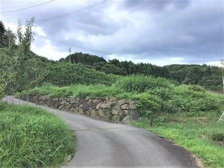 Terraced Land with Fruit Trees & Mt. Tateshina Views in Saku, Nagano - Thumbnail 4