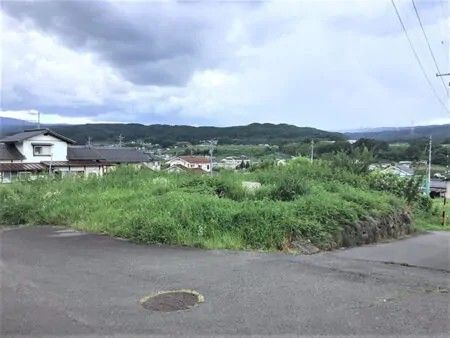 Terraced Land with Fruit Trees & Mt. Tateshina Views in Saku, Nagano - Thumbnail 2