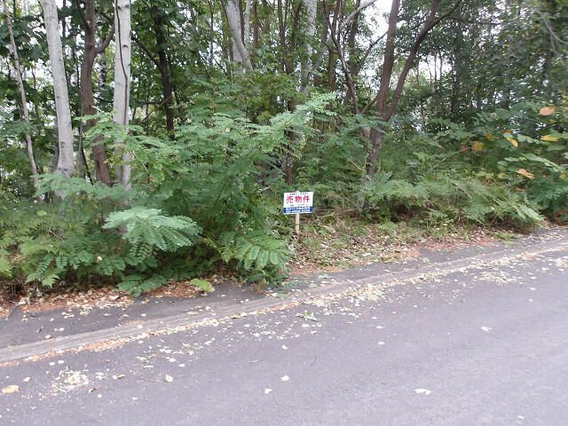 Land for Sale in Asahikawa, Hokkaido - 299 sqm - Thumbnail 4