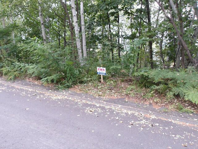 Land for Sale in Asahikawa, Hokkaido - 299 sqm - Thumbnail 3