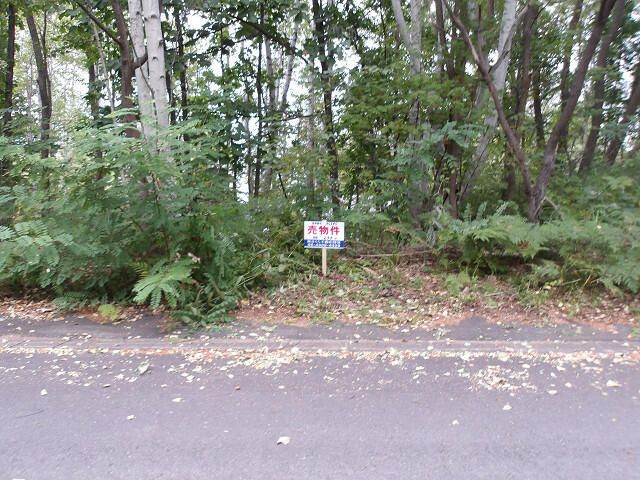Land for Sale in Asahikawa, Hokkaido - 299 sqm - Thumbnail 2