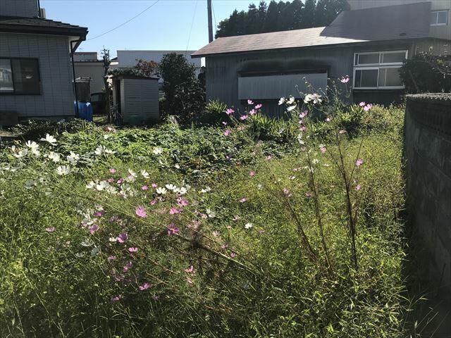 Land for Sale in Tsuruoka City, Yamagata – 178.85 sqm - Thumbnail 3