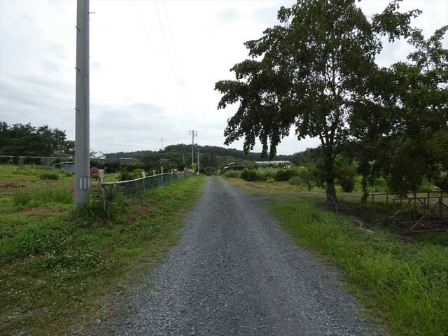 Large Land Parcel for Sale in Hachinohe, Aomori - Thumbnail 4