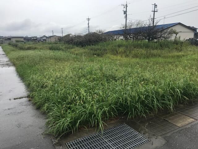 Land for Sale in Kurobe City, Toyama - 2037 sqm - Thumbnail 3