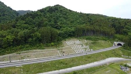 48,566 sqm Woodland for Sale Near Soma-Yamakami IC in Fukushima - Thumbnail 2