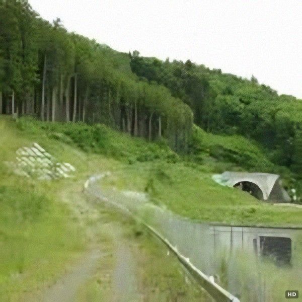 48,566 sqm Woodland for Sale Near Soma-Yamakami IC in Fukushima - Thumbnail 3