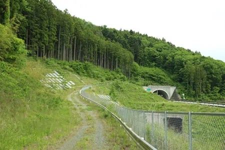 48,566 sqm Woodland for Sale Near Soma-Yamakami IC in Fukushima - Thumbnail 4