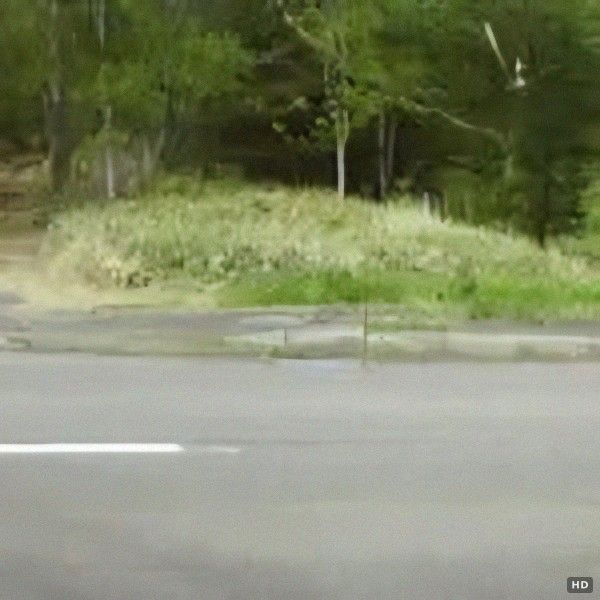 75,756 sqm Land with Natural Spring in Teshikaga, Hokkaido for Sale - Thumbnail 3