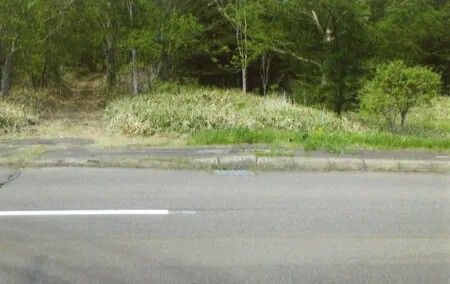 75,756 sqm Land with Natural Spring in Teshikaga, Hokkaido for Sale - Thumbnail 4