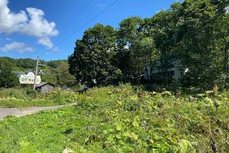 Land for Sale Overlooking Lake Shiratoko in Hokkaido's Kushiro Wetland - Thumbnail 2