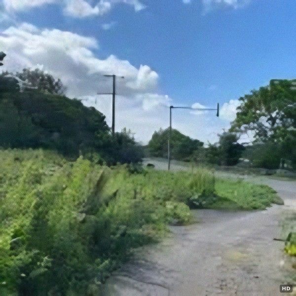 Land for Sale Overlooking Lake Shiratoko in Hokkaido's Kushiro Wetland - Thumbnail 4