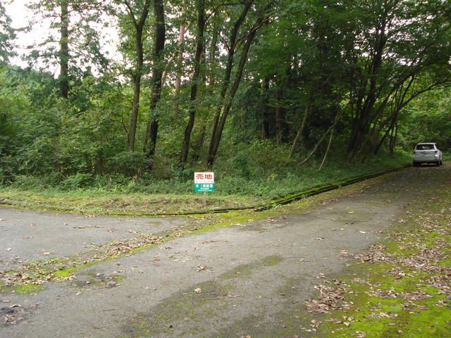Land for Sale in Nikko, Tochigi - 319 sqm - Thumbnail 3