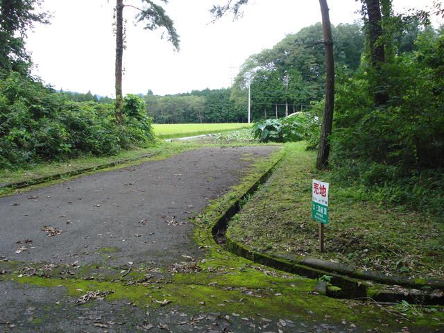 Land for Sale in Nikko, Tochigi - 319 sqm - Thumbnail 4
