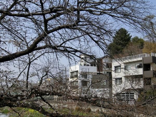 5-Story RC House for Sale in Mitaka, Tokyo with Tenant Income - Thumbnail 3