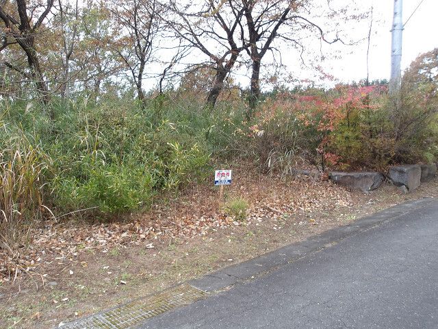 387 sqm Building Land in Maebashi, Gunma - Thumbnail 3