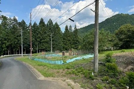 875 sqm Farmland for Sale in Chichibu, Saitama | Secluded Plot - Thumbnail 2
