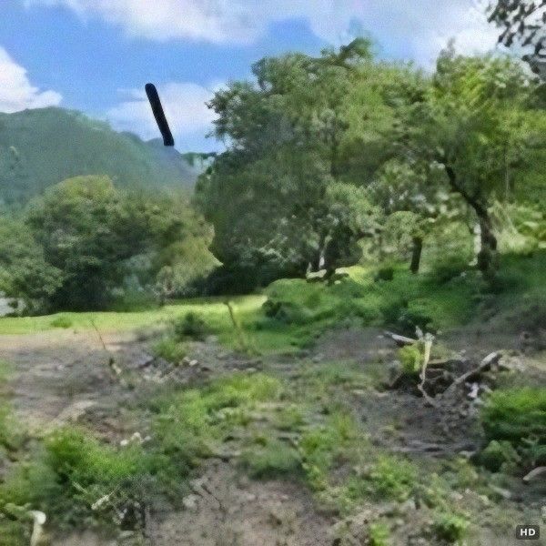 875 sqm Farmland for Sale in Chichibu, Saitama | Secluded Plot - Thumbnail 4