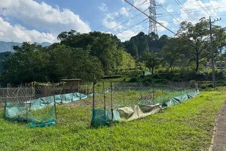 875 sqm Farmland for Sale in Chichibu, Saitama | Secluded Plot - Thumbnail 3