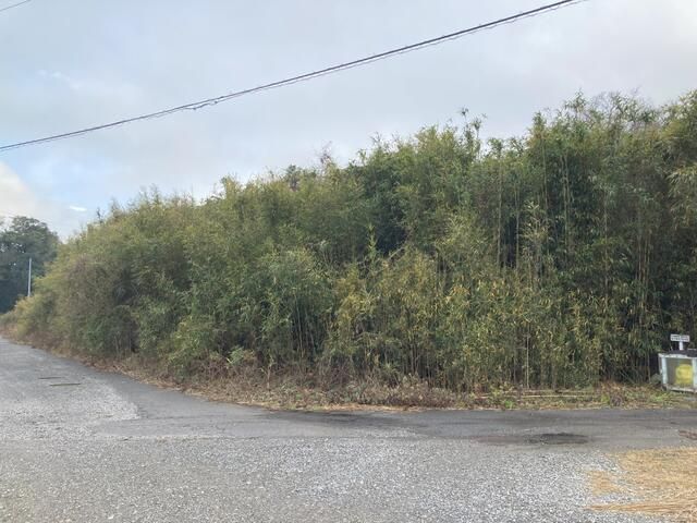 875 sqm Flat Land for Sale in Isumi City, Chiba - Thumbnail 3