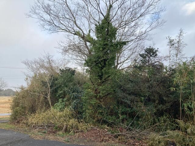 875 sqm Flat Land for Sale in Isumi City, Chiba - Thumbnail 4