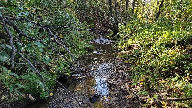 Land for Sale in Asahikawa, Hokkaido - 31,679 sqm - Thumbnail 2
