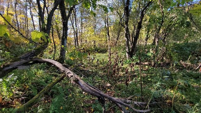Land for Sale in Asahikawa, Hokkaido - 31,679 sqm - Thumbnail 3