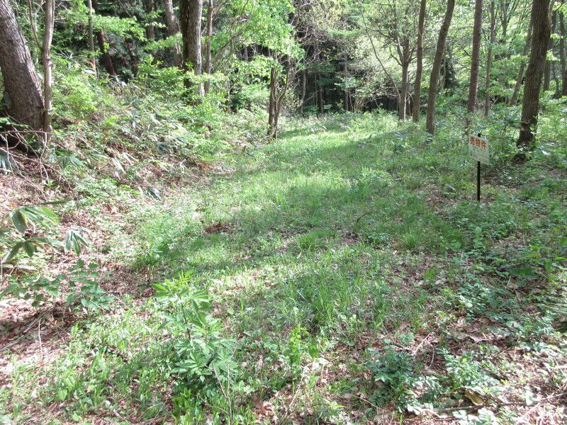 Land for Sale in Inawashiro Town, Fukushima – 991 sqm - Thumbnail 3
