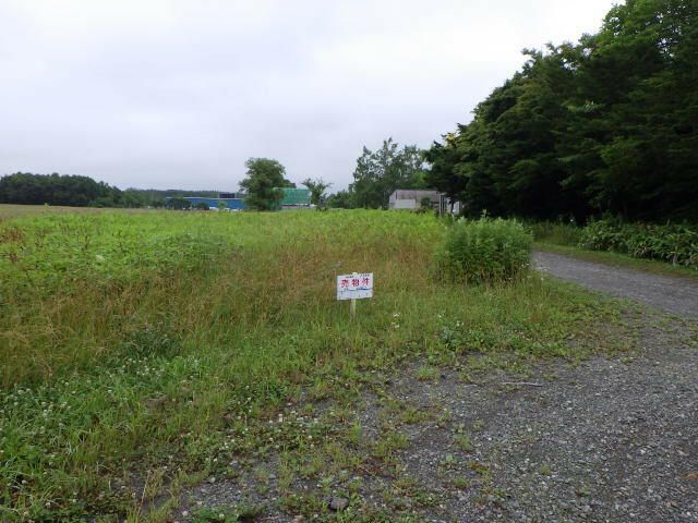 Land for Sale in Kitahiroshima, Hokkaido - 604 sqm - Thumbnail 2