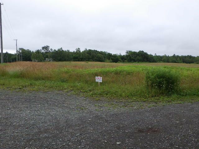 Land for Sale in Kitahiroshima, Hokkaido - 604 sqm - Thumbnail 3